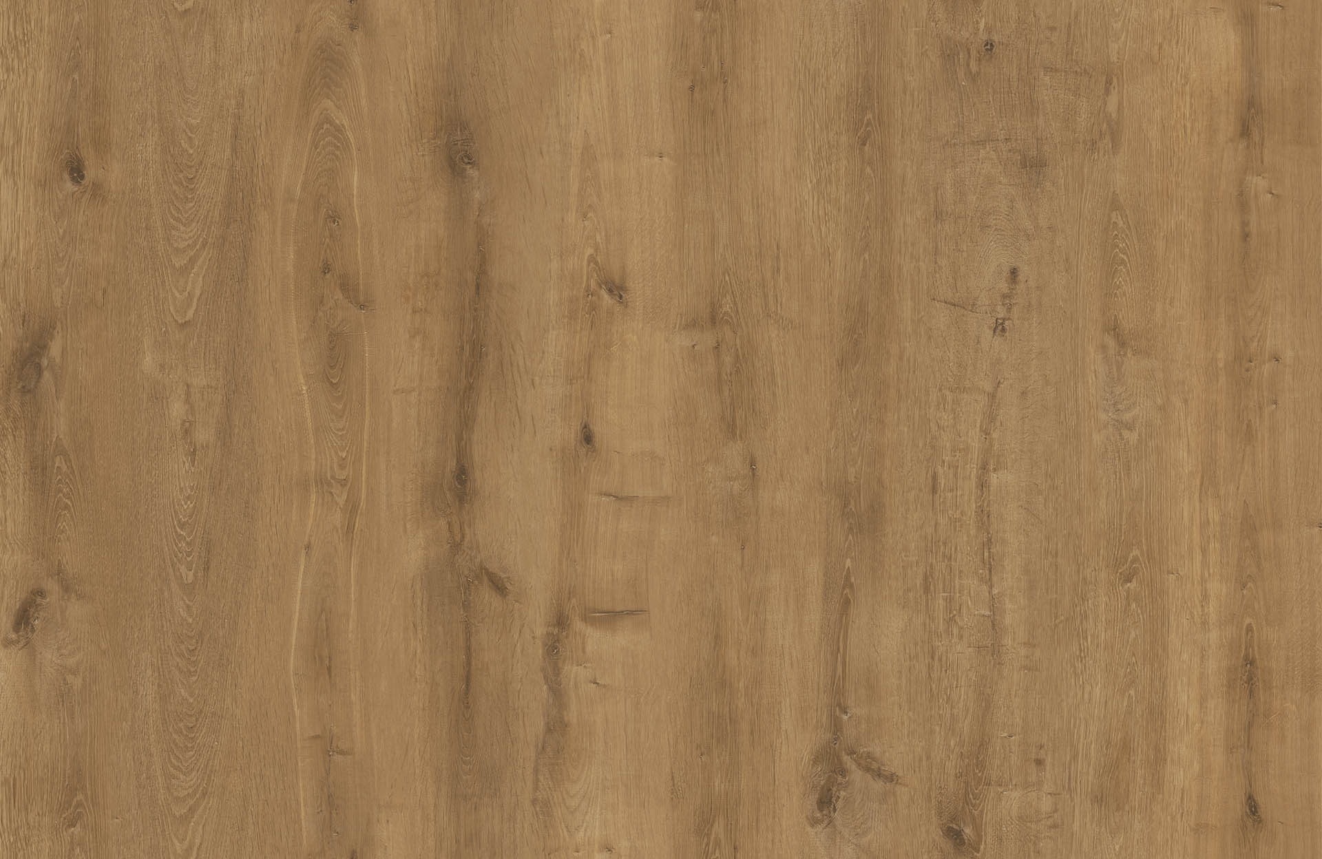DELICATESSEN OAK
