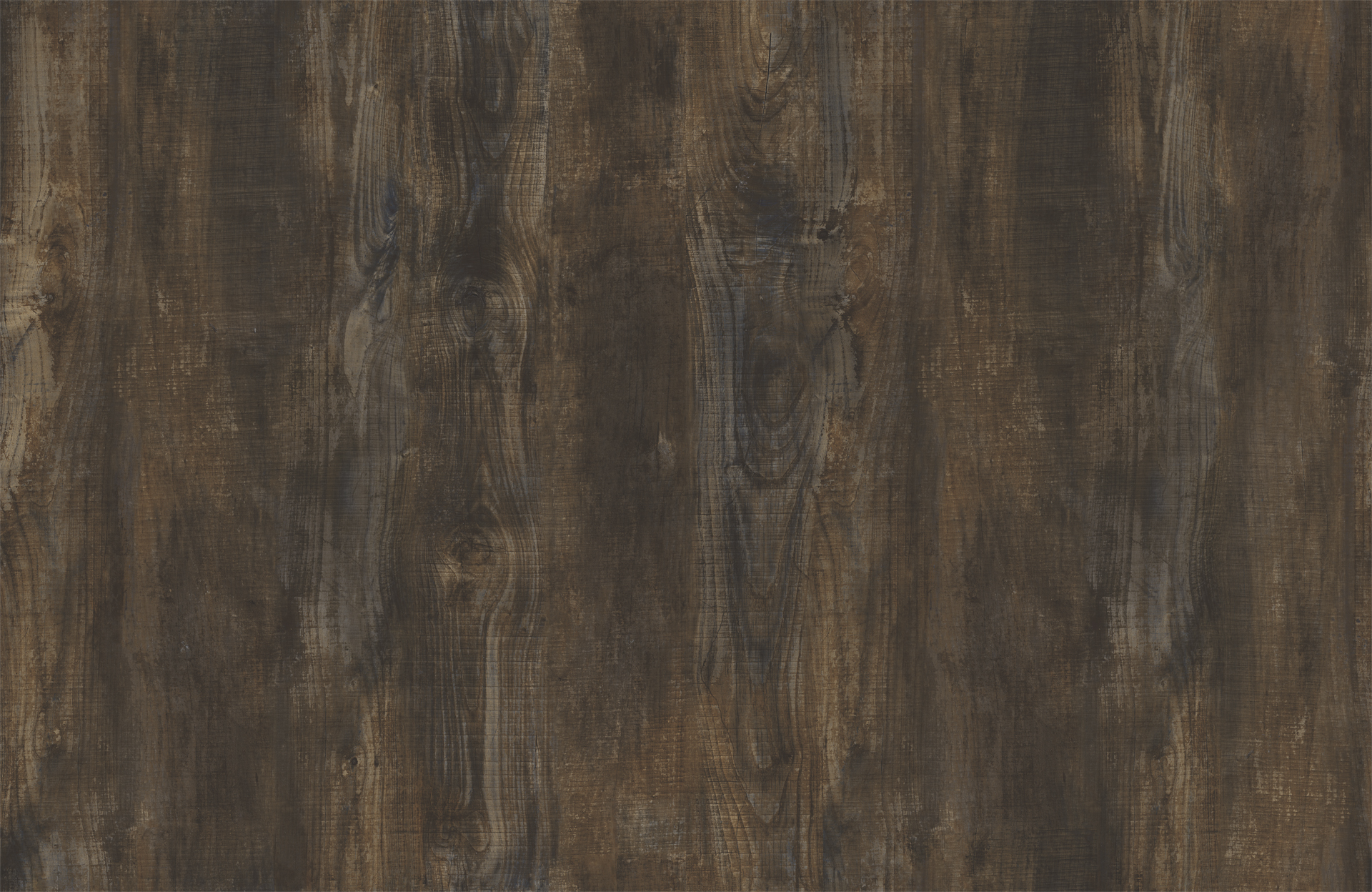MIDNIGHT CHESTNUT