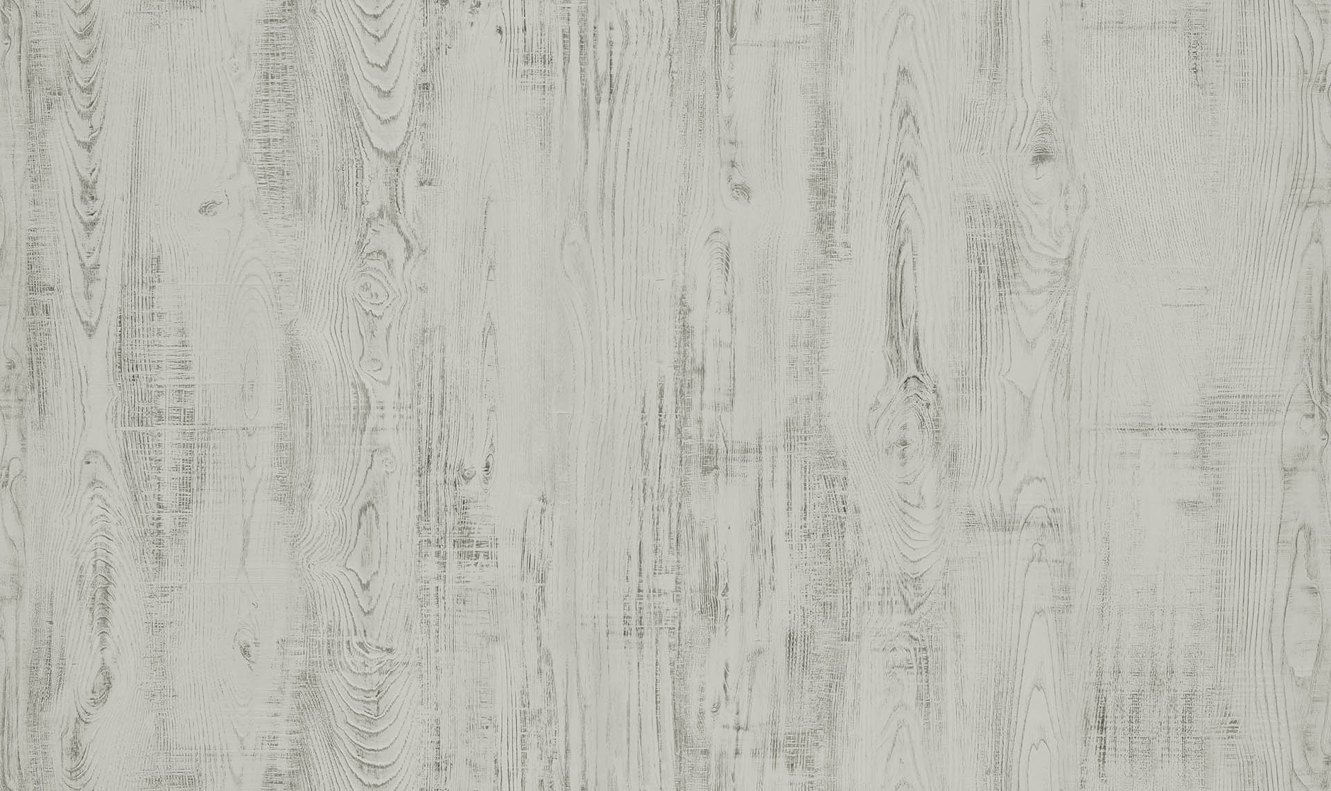 WHITE SAW CHESTNUT