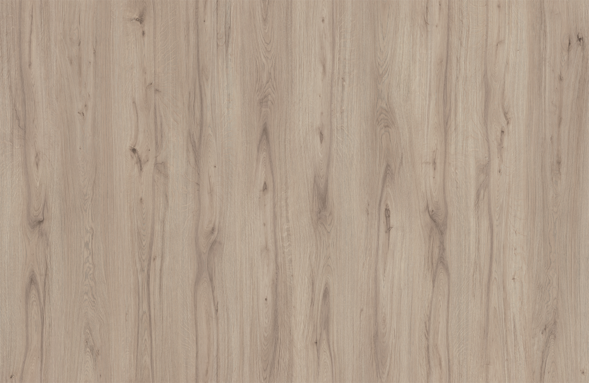 NAUTILUS OAK