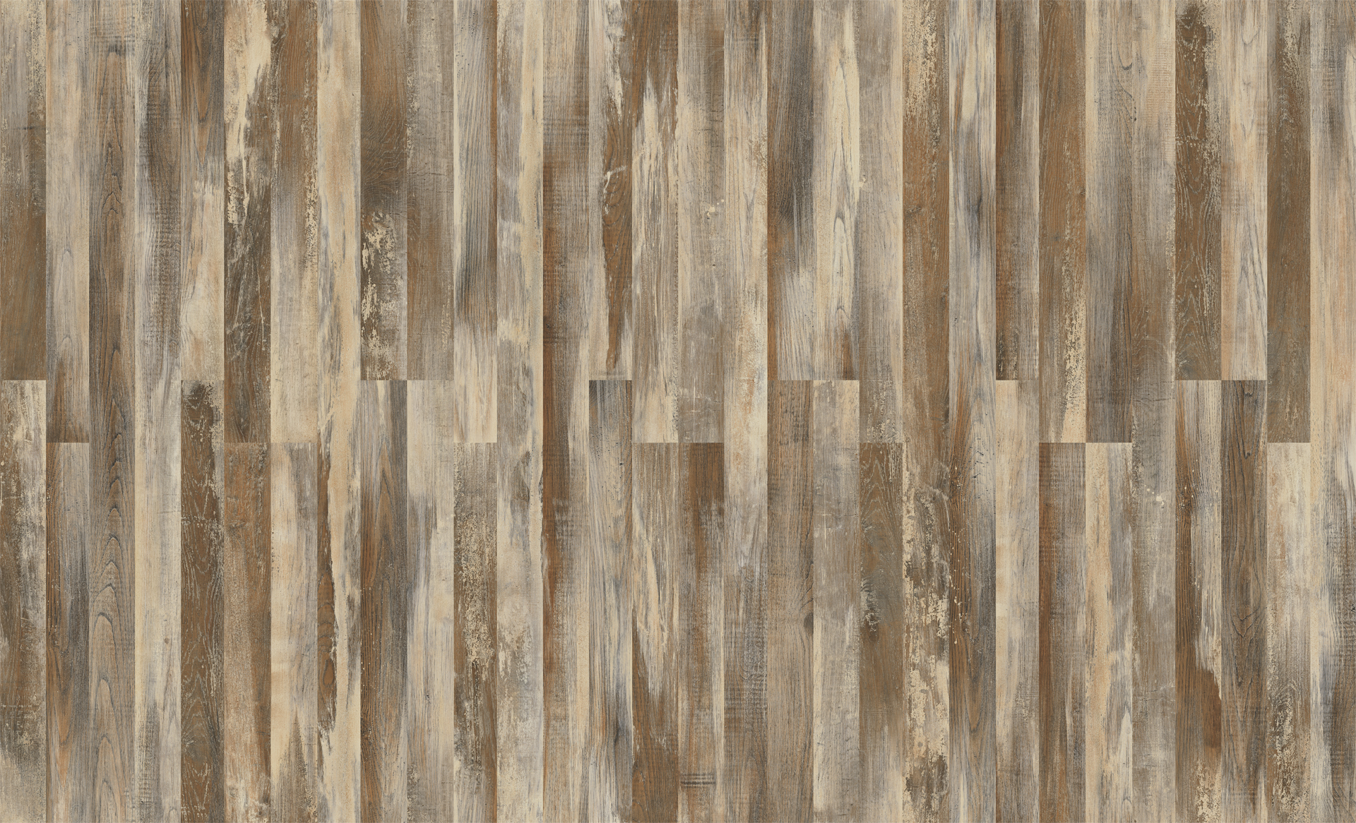 BOREAL OAK