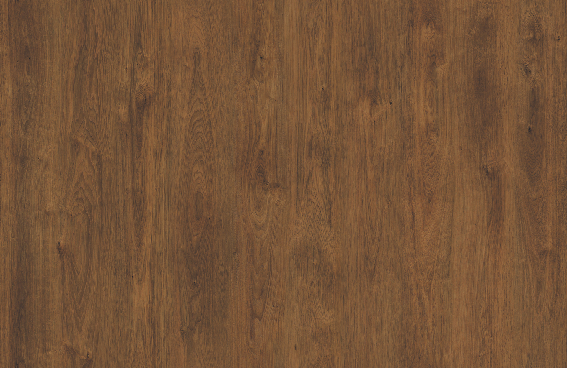 TOLEDO OAK