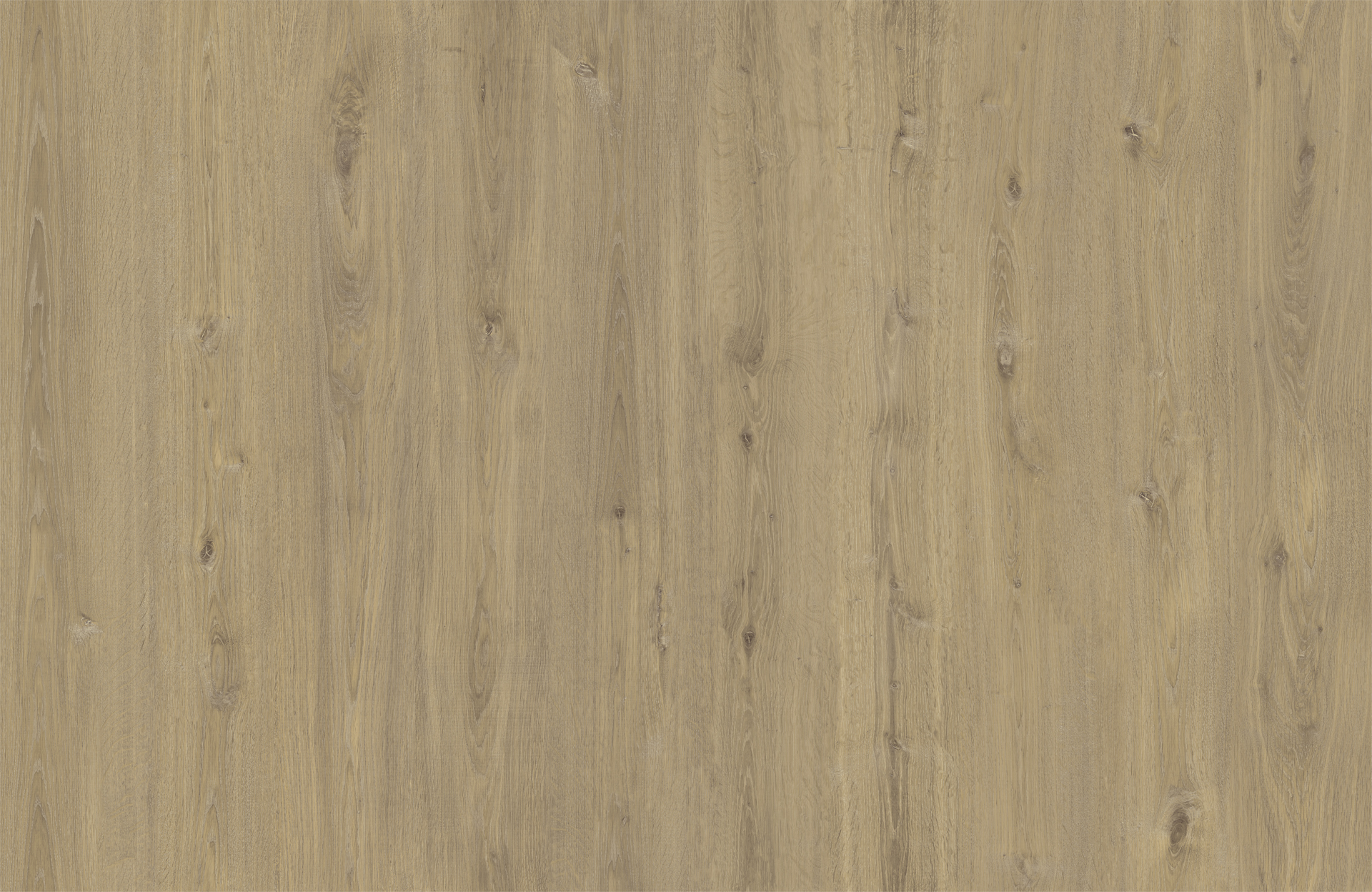 TOULOUSE OAK