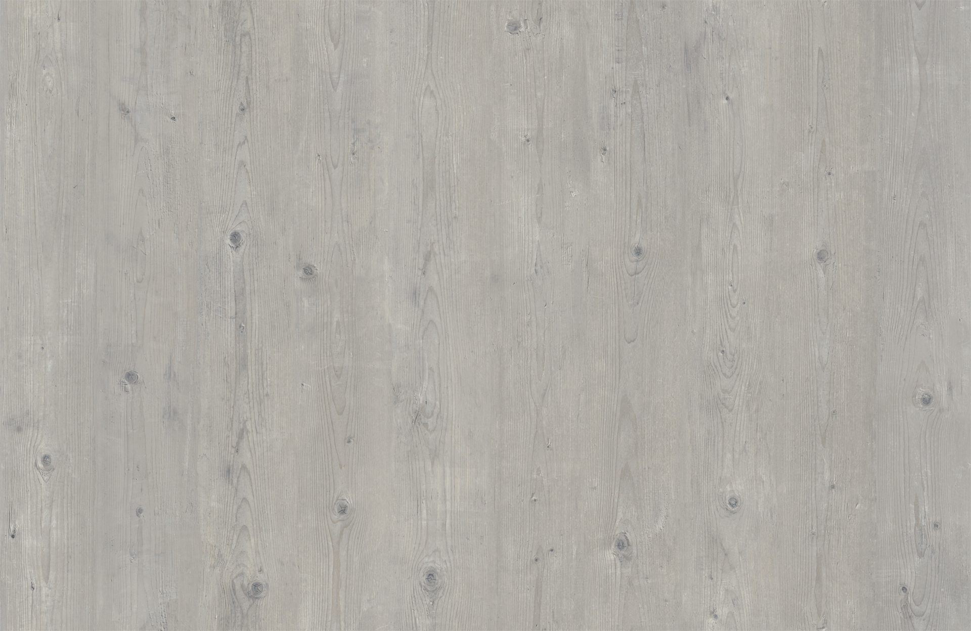 SPLUGA PINE