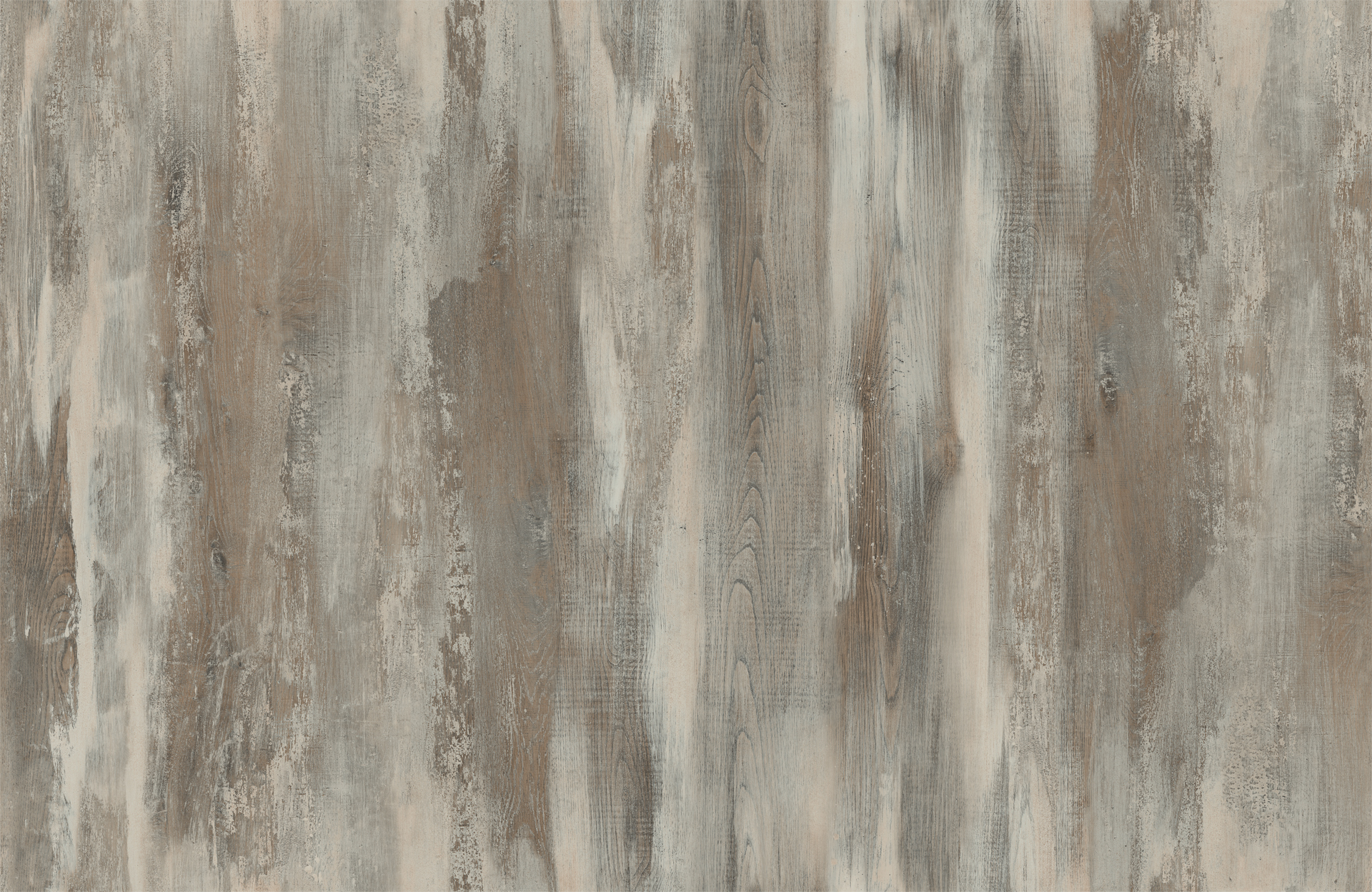 ICELAND OAK