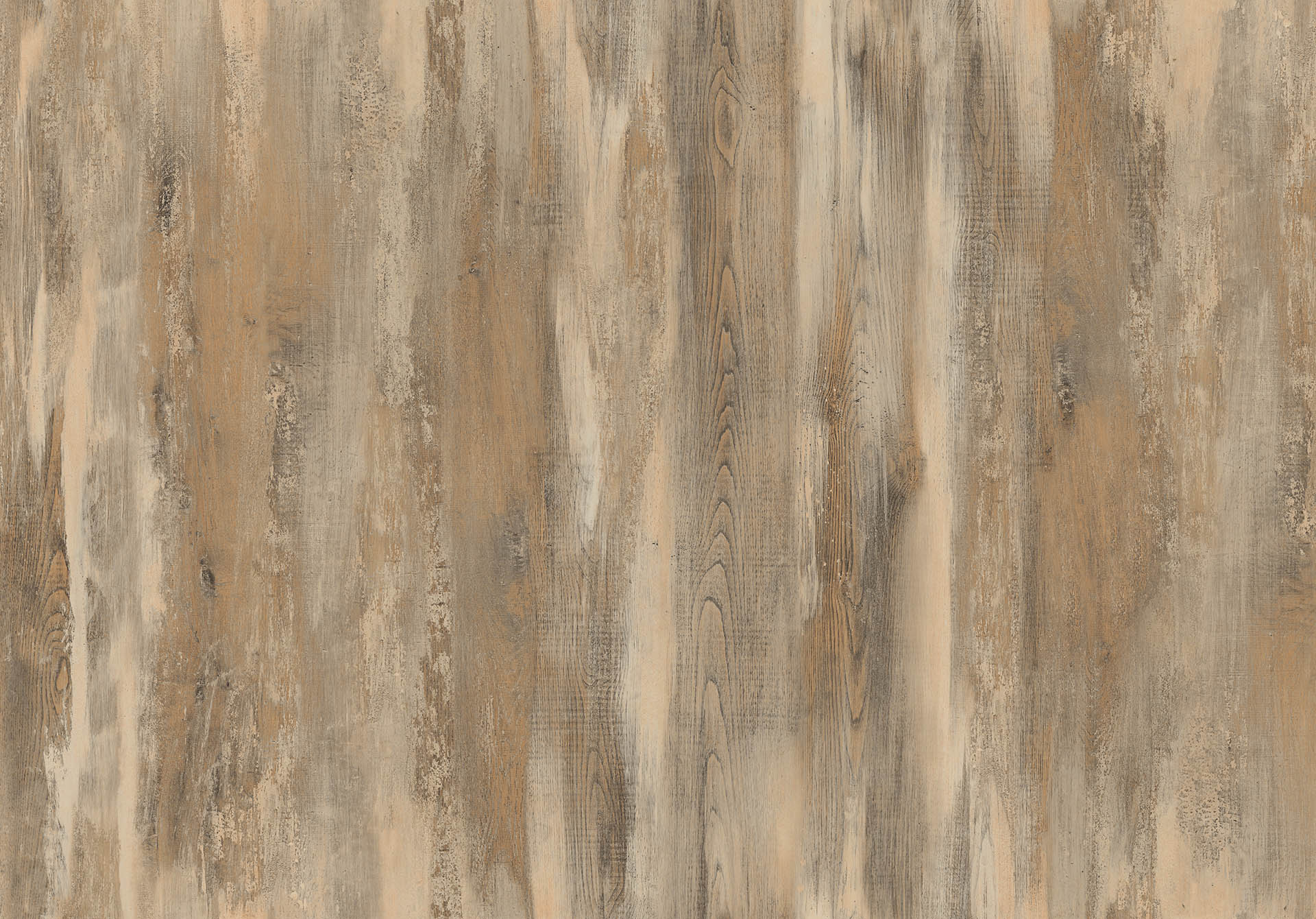 ICELAND OAK