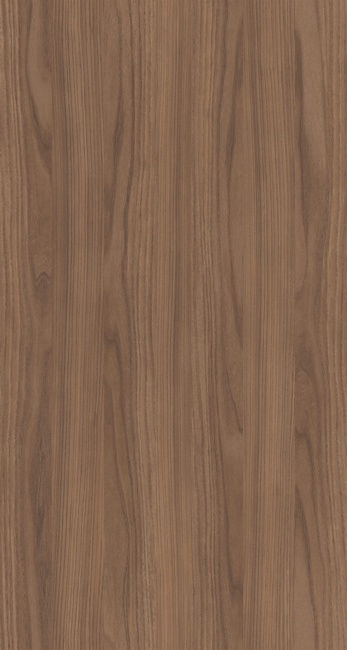 EMBLA ELM (EIR)