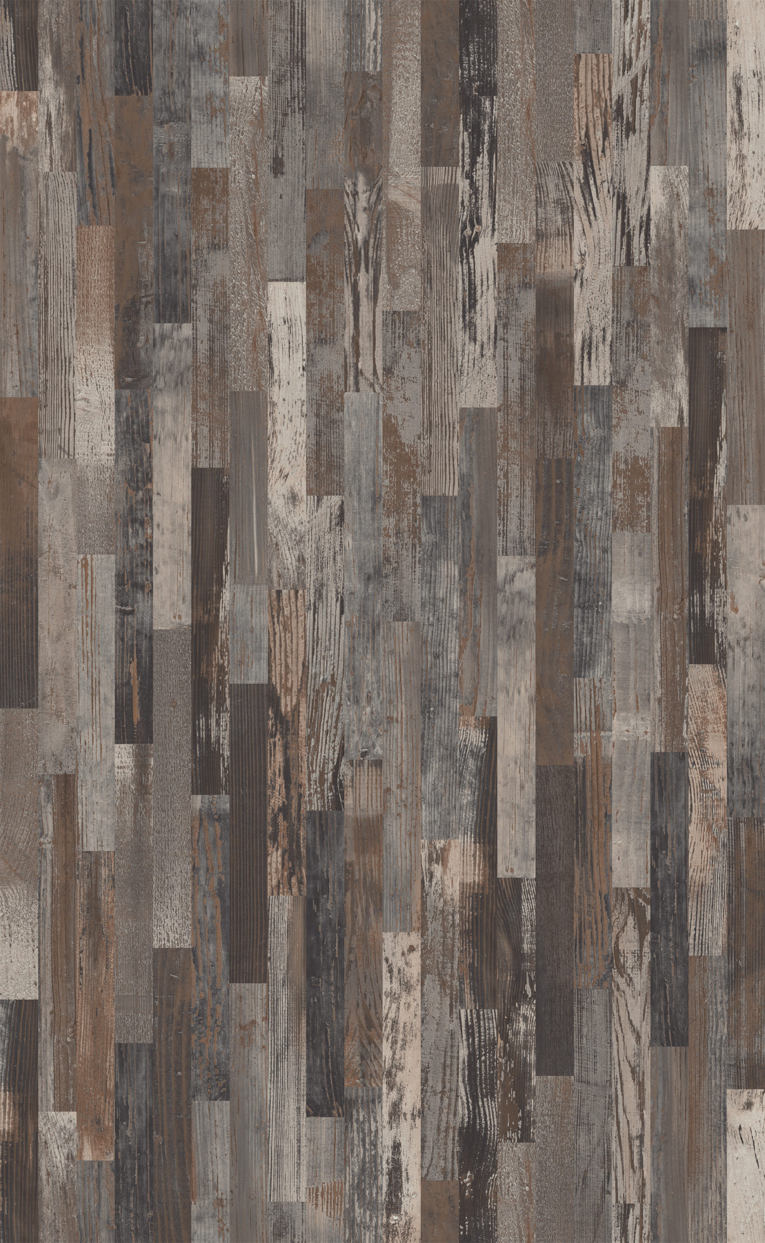 ARATINGA PINE