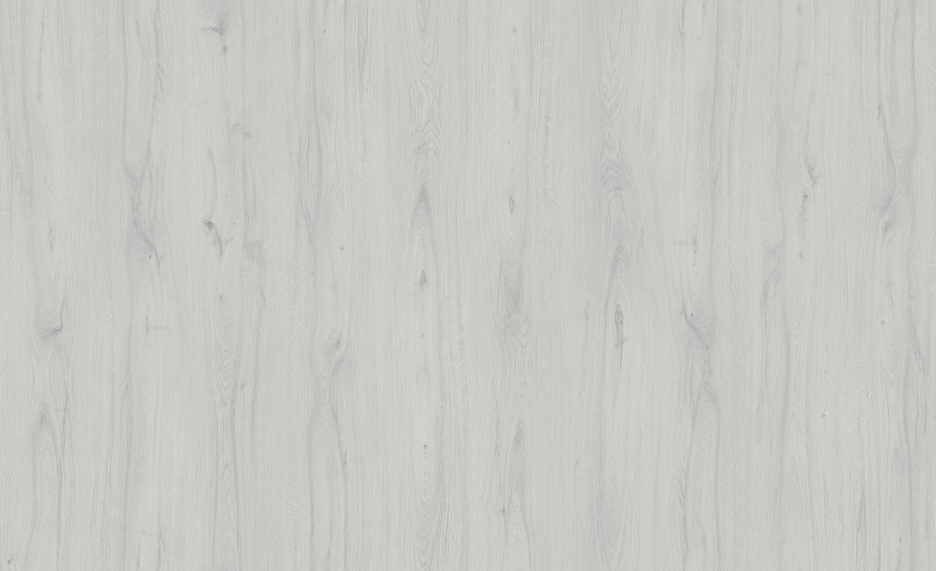 NAUTILUS OAK