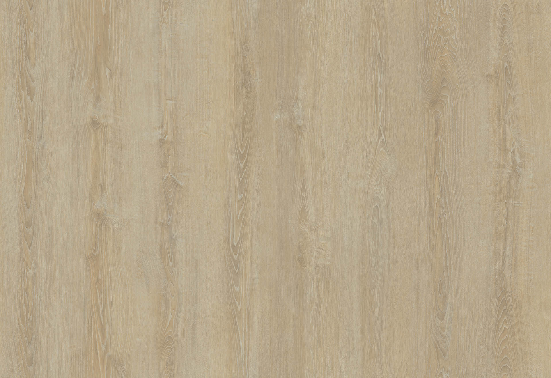 CERDANYA OAK