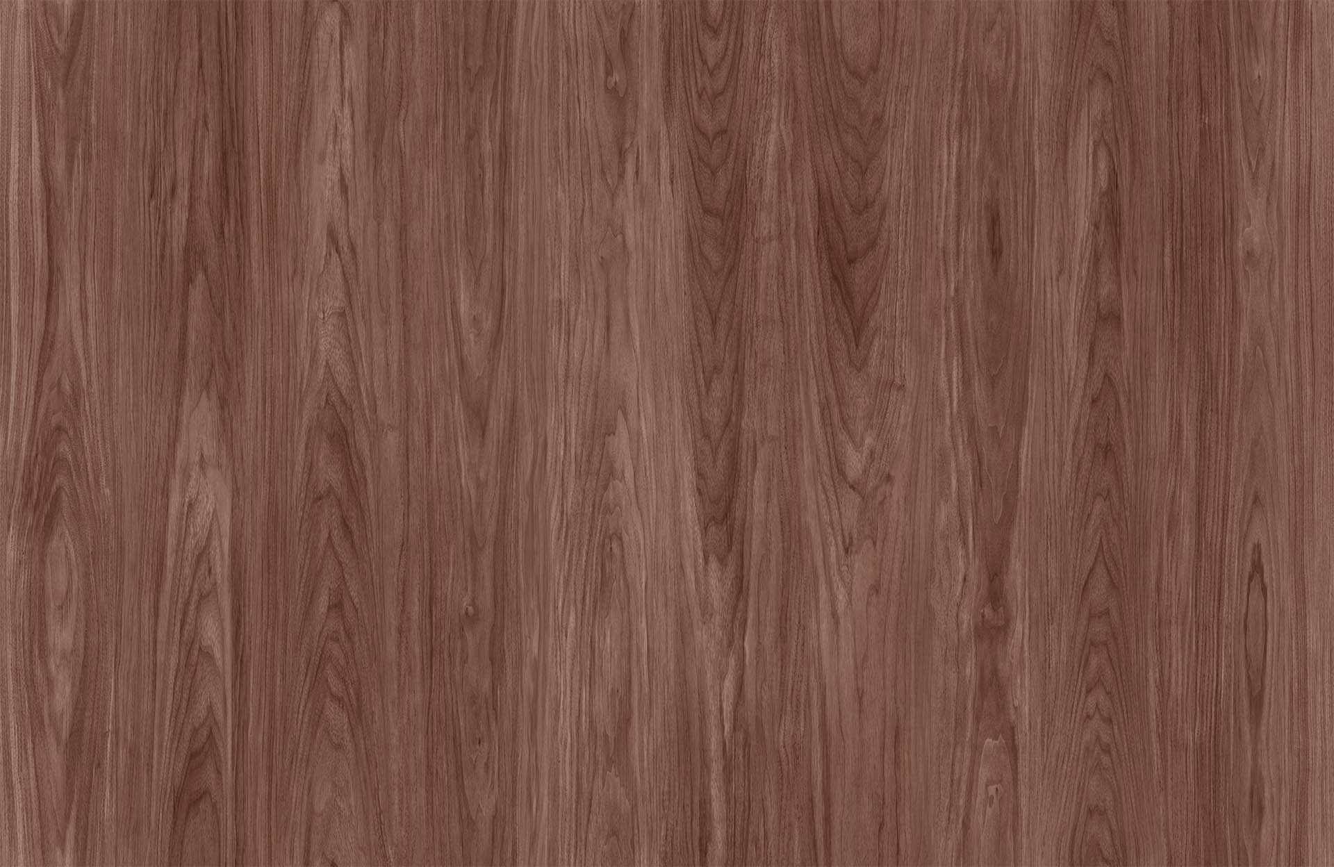 MICHELANGELO WALNUT II