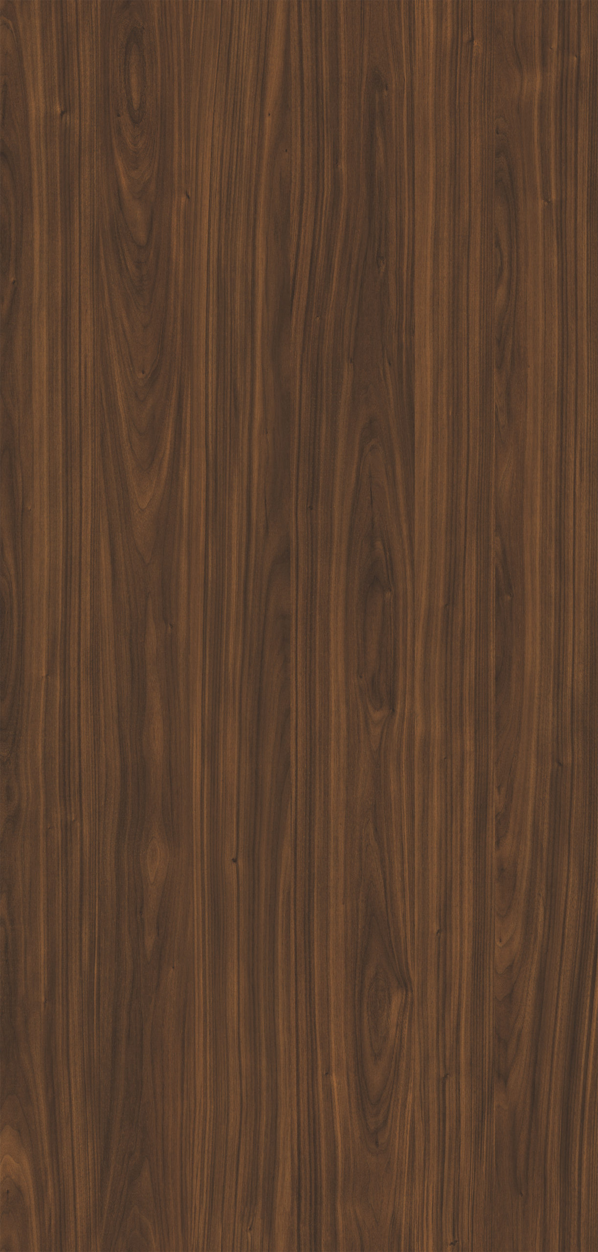 CLIFTON WALNUT