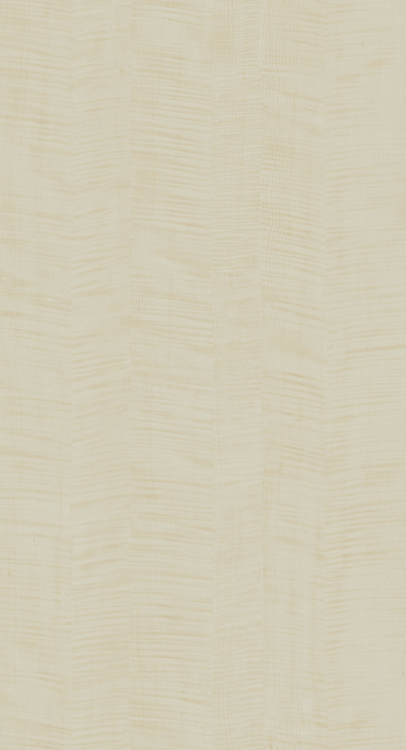 SAVANNAH SYCAMORE II