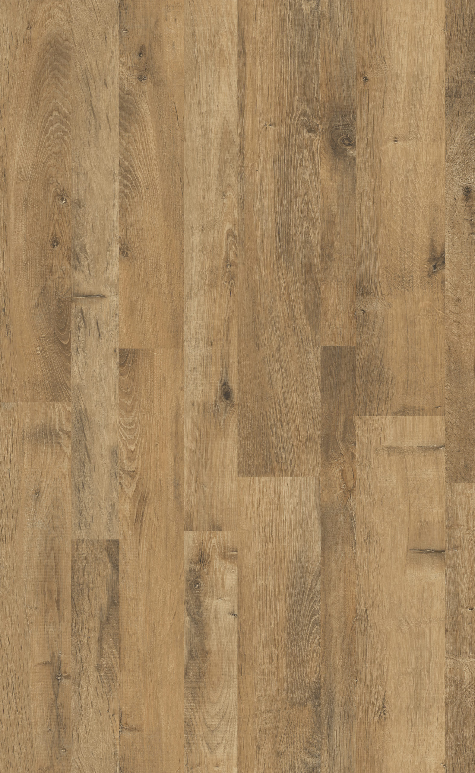 FREEDOM OAK