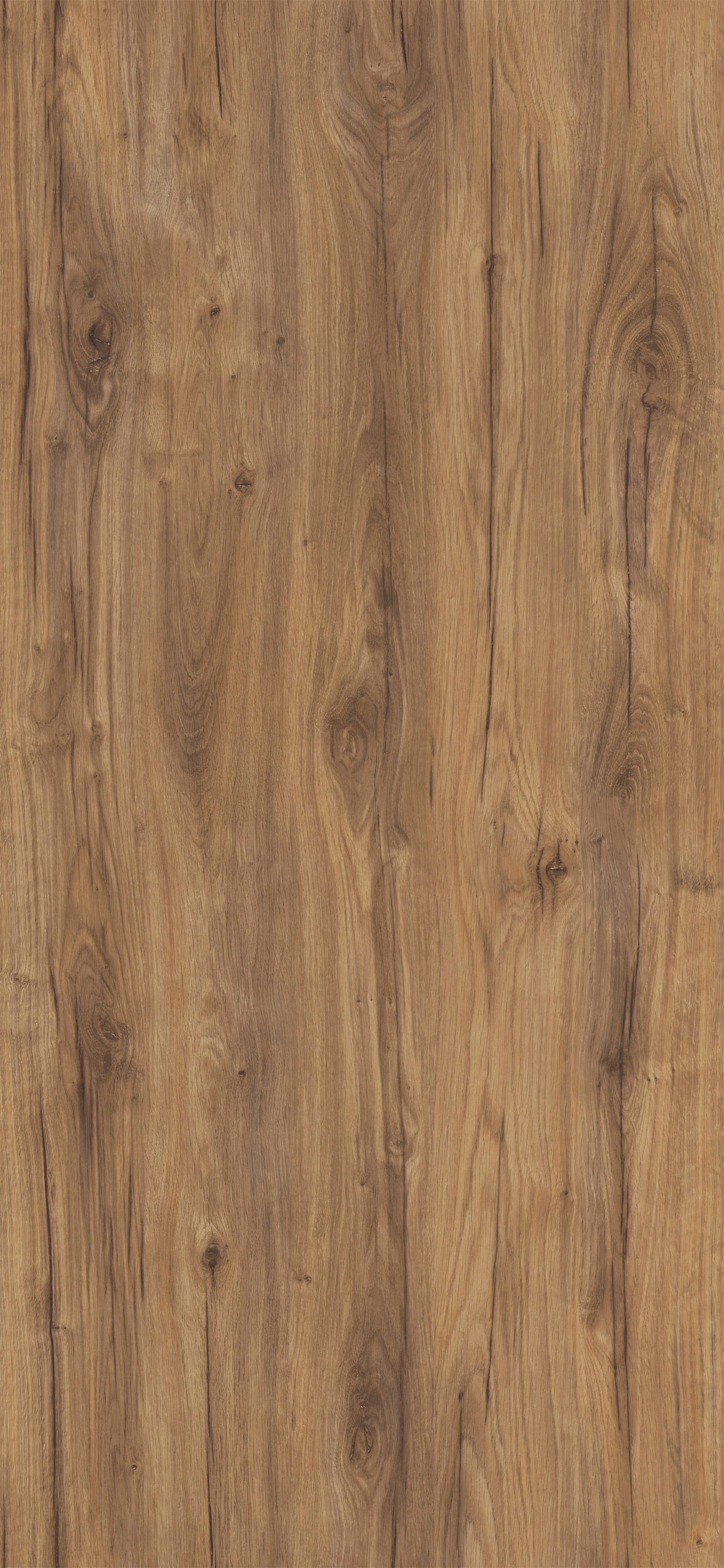 WOODLAND OAK