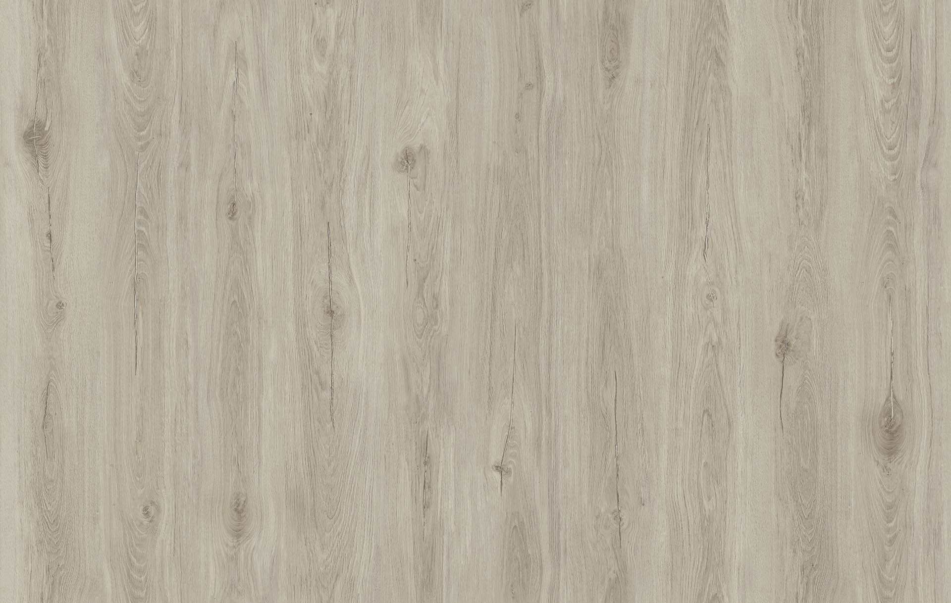 VINUS OAK