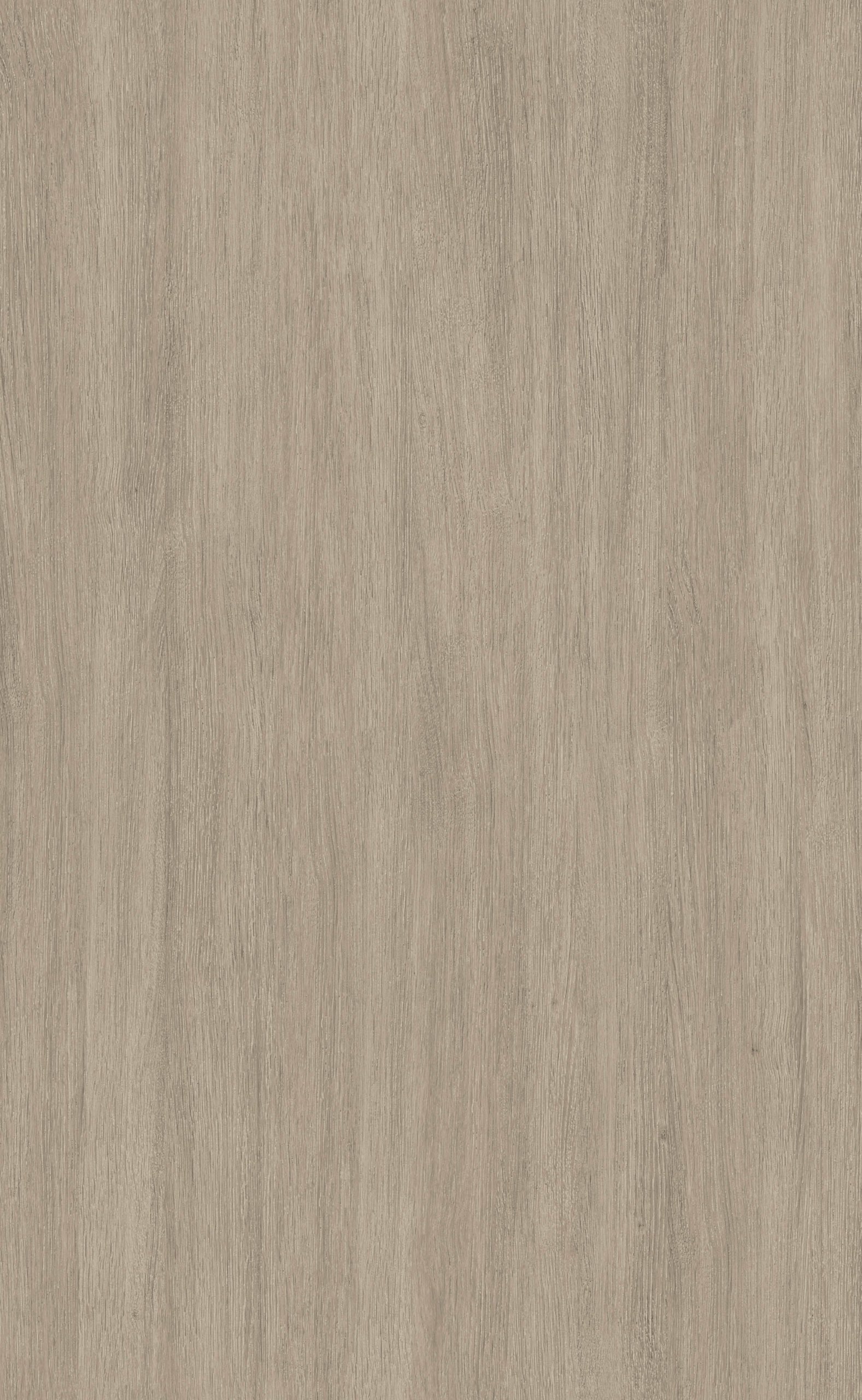 CABINET OAK