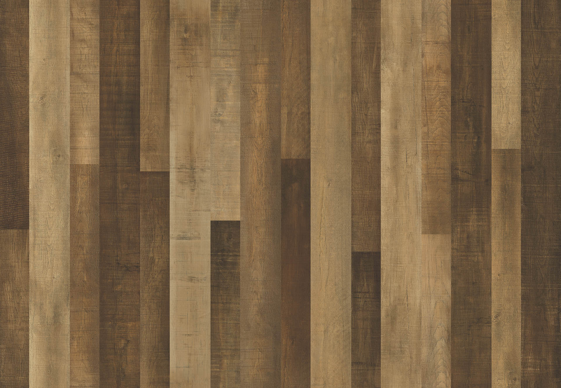 PARADISE OAK