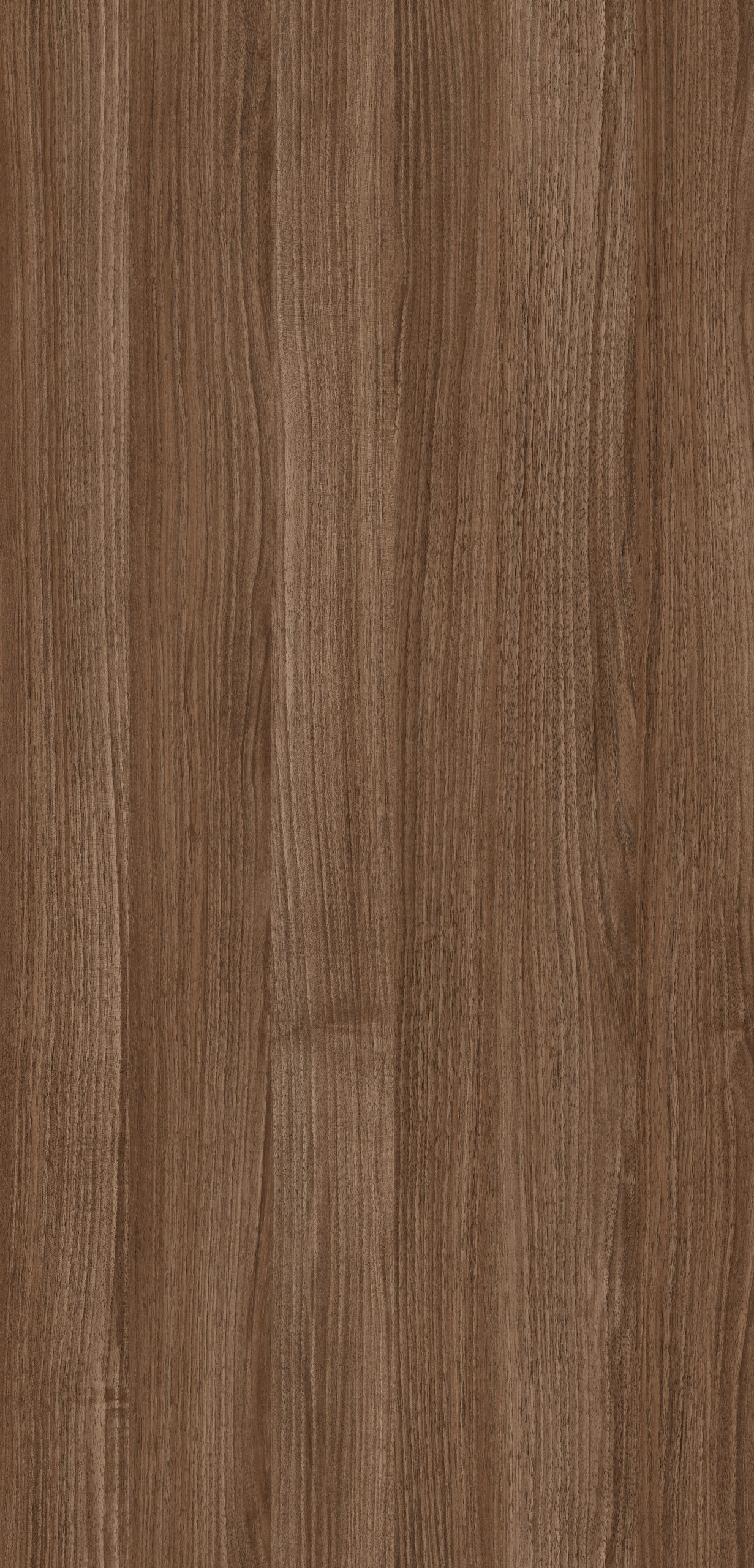 DEJAVÚ WALNUT