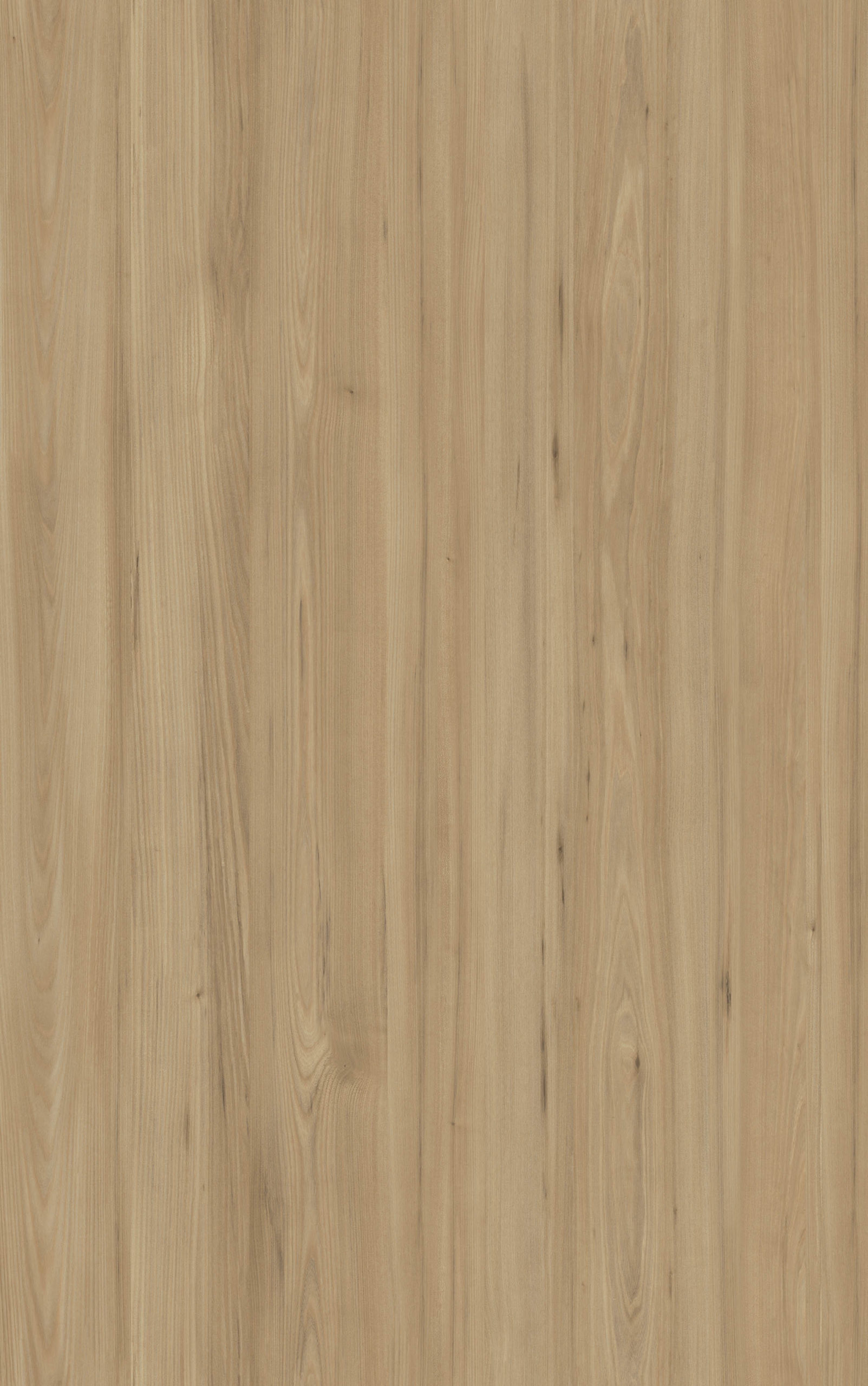 MAI ELM