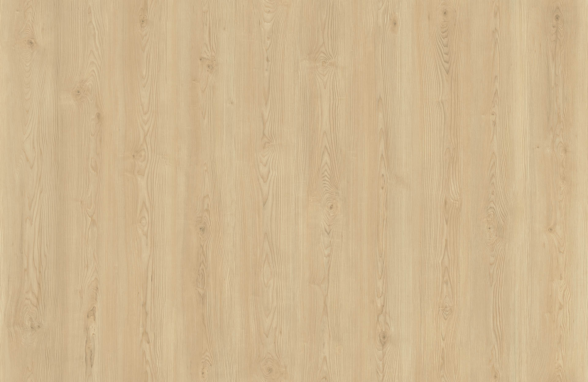 D’ORSAY MAPLE