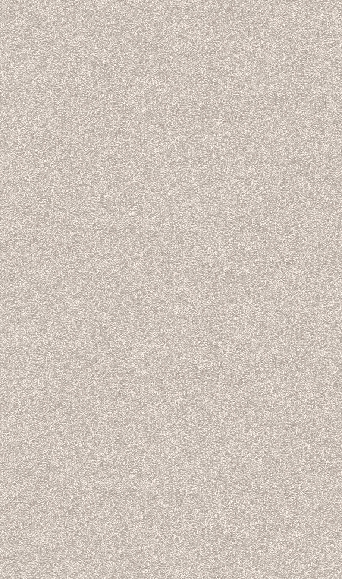 RAYSKIN