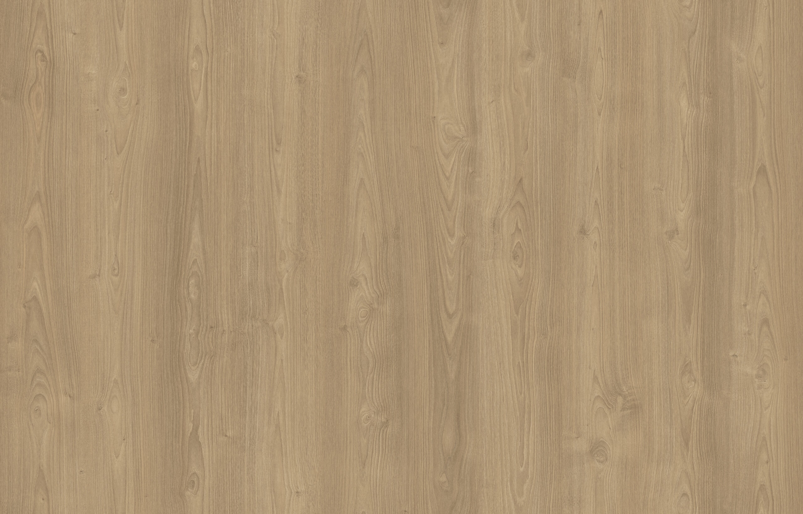 VERA CHESTNUT