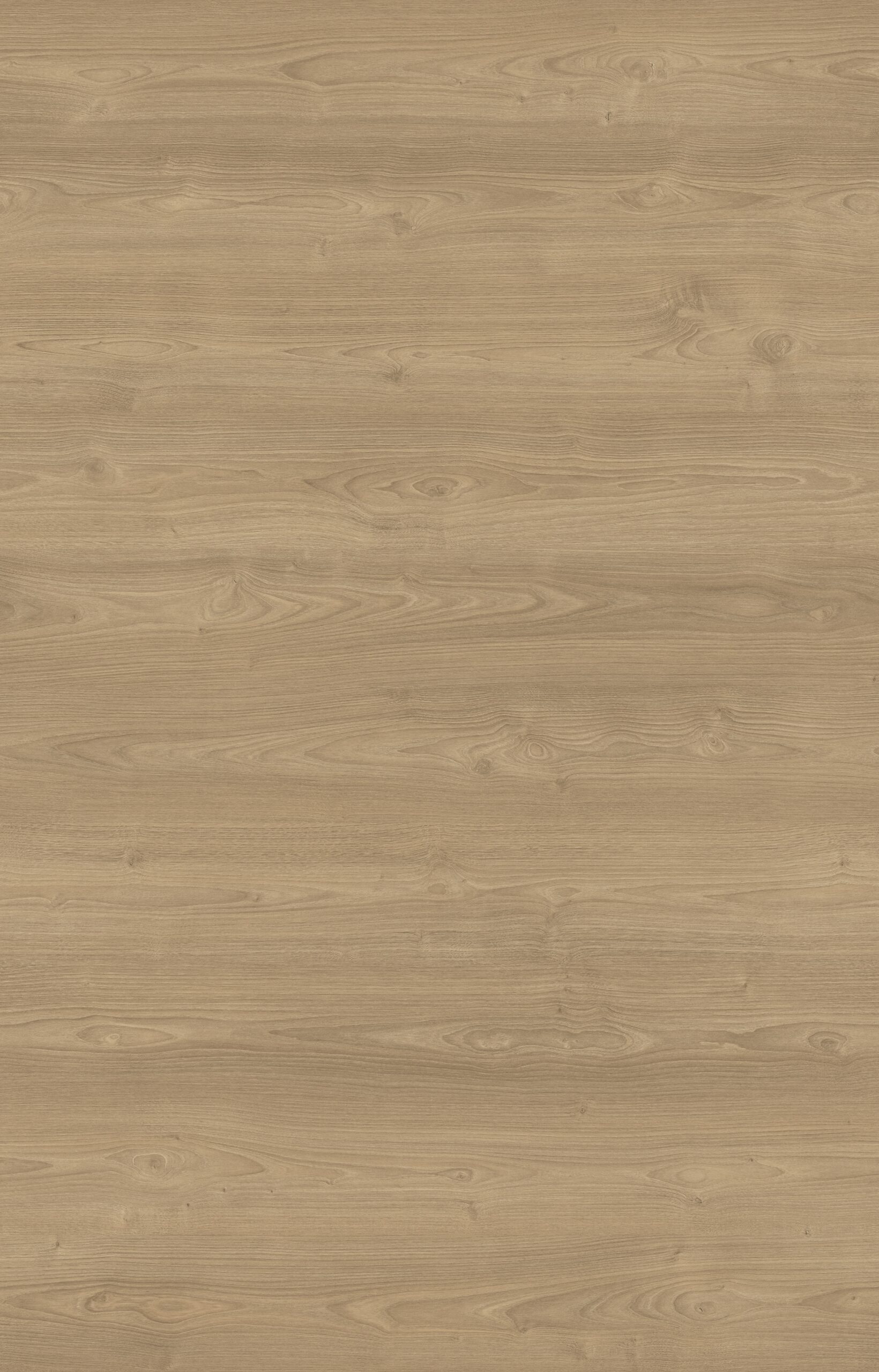 VERA CHESTNUT
